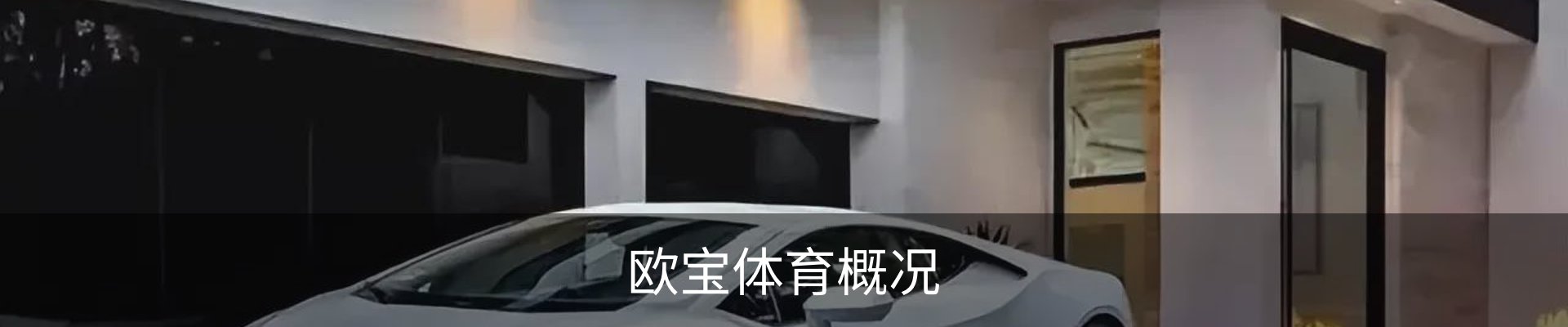欧宝体育概况